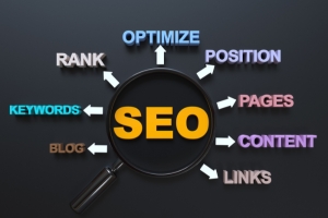 Dominate Search Results