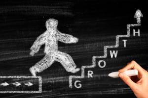 Organic Growth is Our Focus